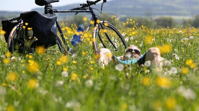 Foto: Thomas Warnack