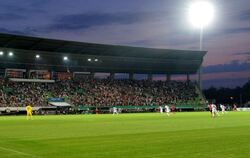 Das Kreuzeichestadion