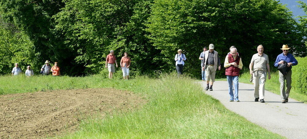 Spiel- und Wandertag 2017