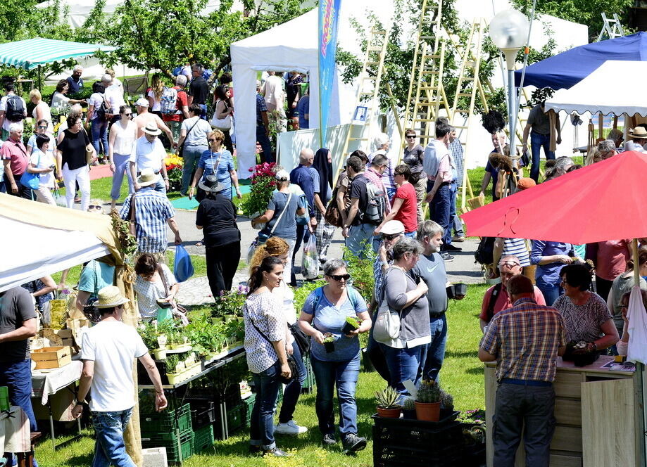 Garden Life Reutlingen 2017