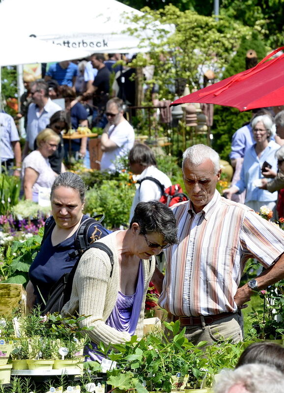 Garden Life Reutlingen 2017