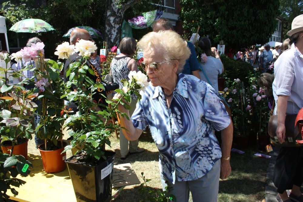 Rosenmarkt in Mössingen 2017