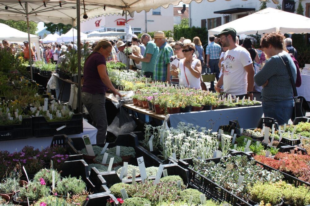 Rosenmarkt in Mössingen 2017