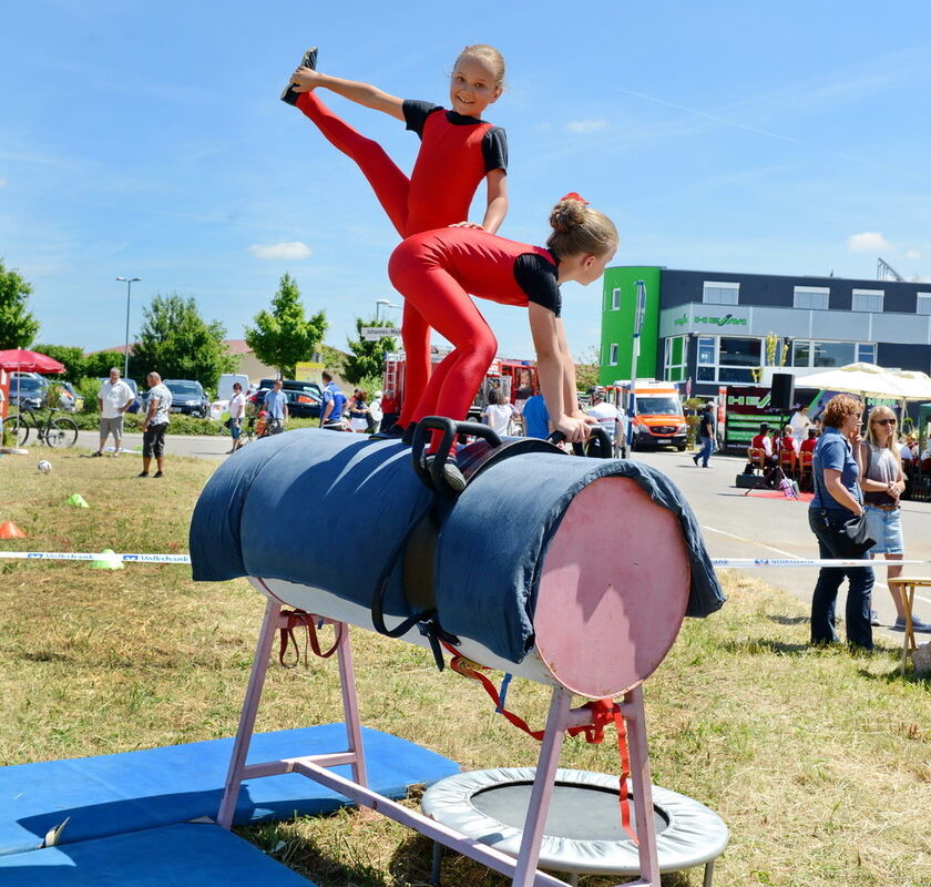 Bullenbank open Walddorfhäslach 2017