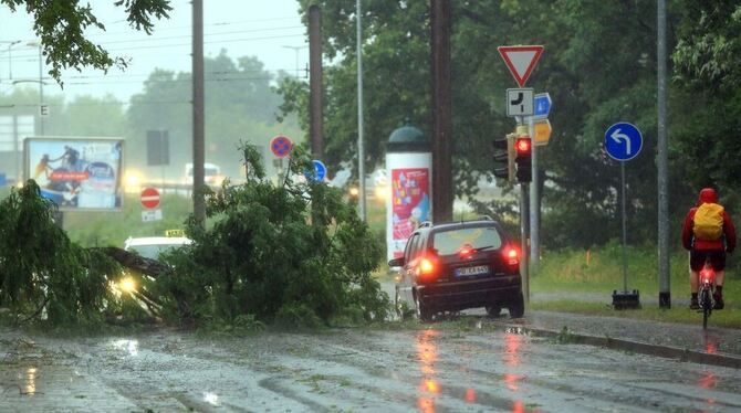 Autos fahren an einem umgestürzten Baum vorbei. Nach hochsommerlichen Temperaturen haben in Ostdeutschland die angekündigten sch