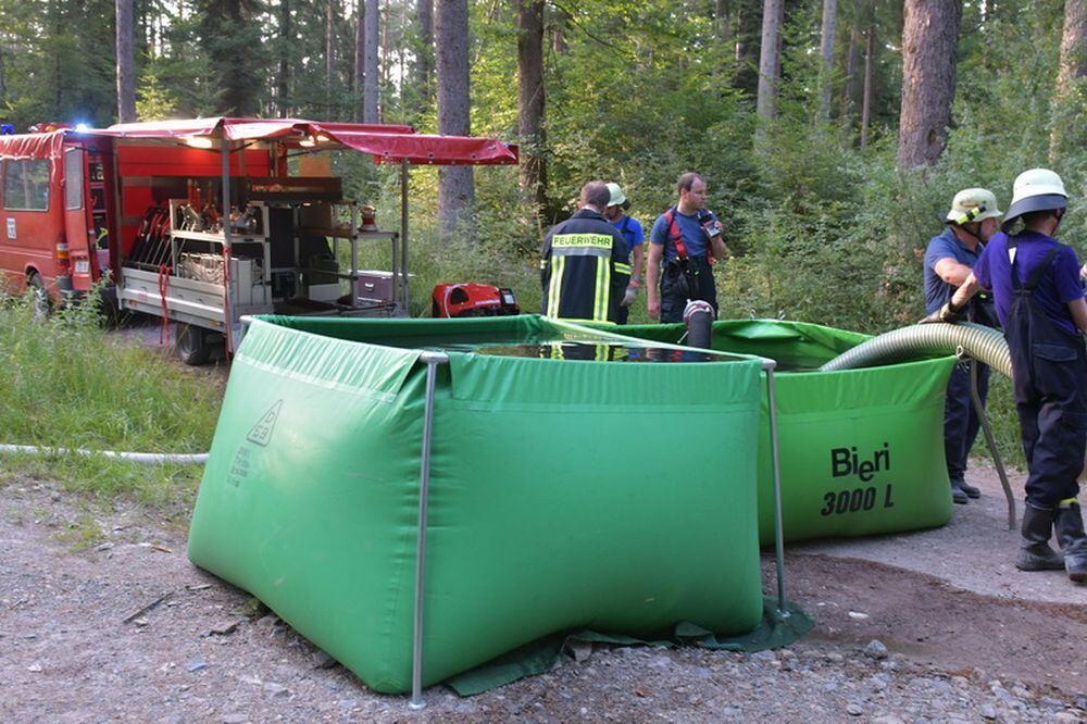 Waldbrand_Bodelshausen_2017-31 (JPG)