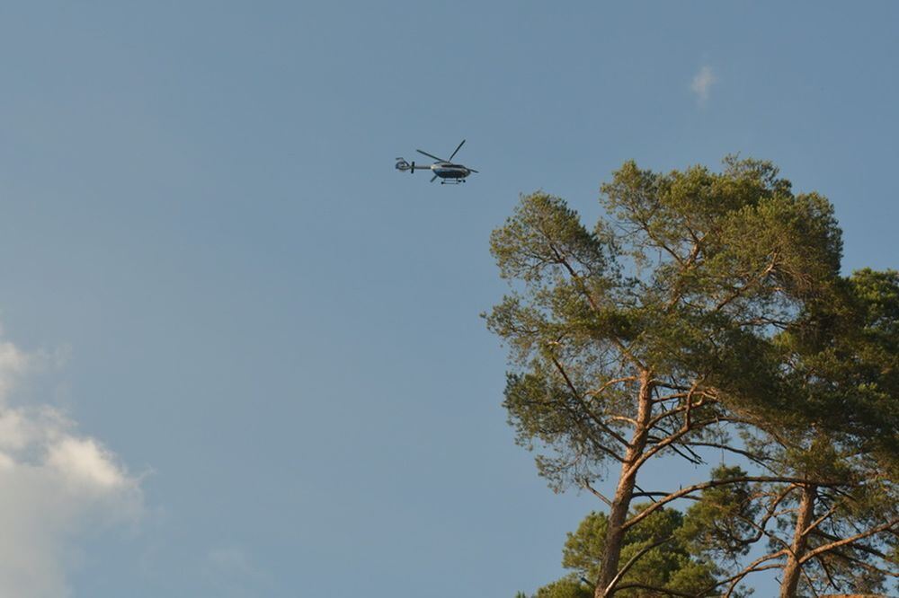 Waldbrand_Bodelshausen_2017-36 (JPG)