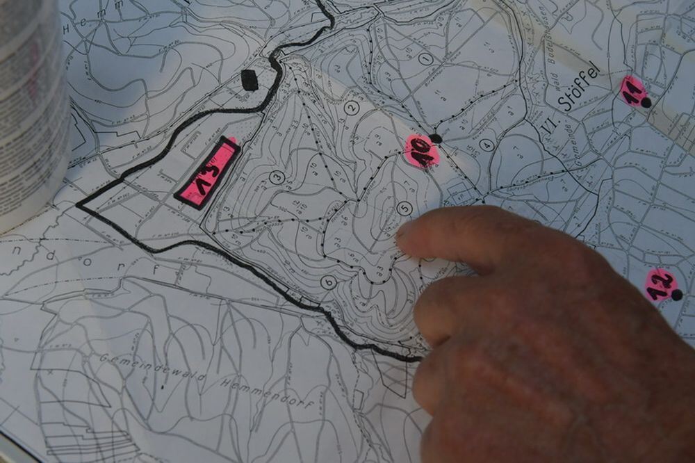 Waldbrand_Bodelshausen_2017-38 (JPG)