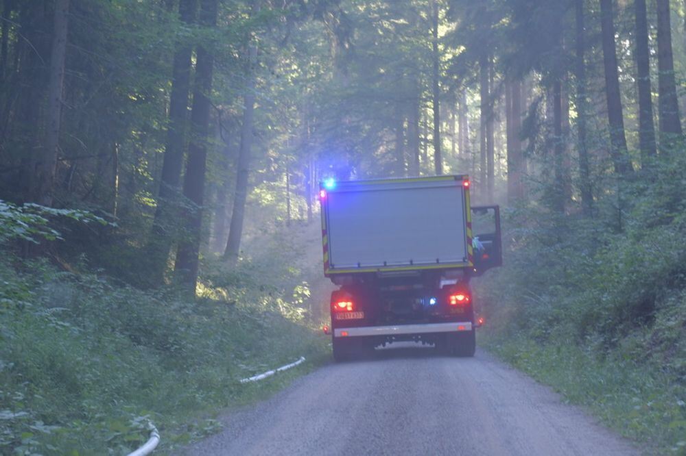 Waldbrand_Bodelshausen_2017-4 (JPG)