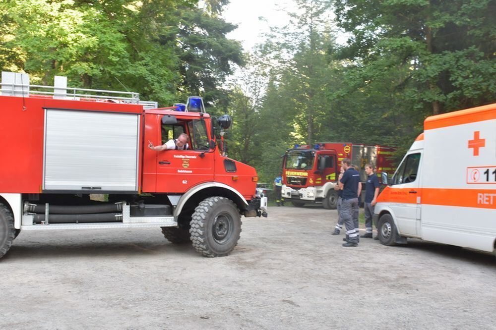 Waldbrand_Bodelshausen_2017-5 (JPG)