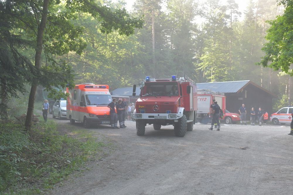 Waldbrand_Bodelshausen_2017-7 (JPG)