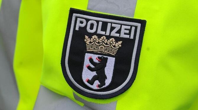 Berliner Polizisten, die zum Schutz des G20-Gipfels in Hamburg waren, müssen vorzeitig die Heimreise antreten. Foto: Jens Kal