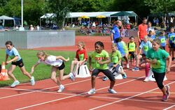 Jugend trainiert für Olympia 2017