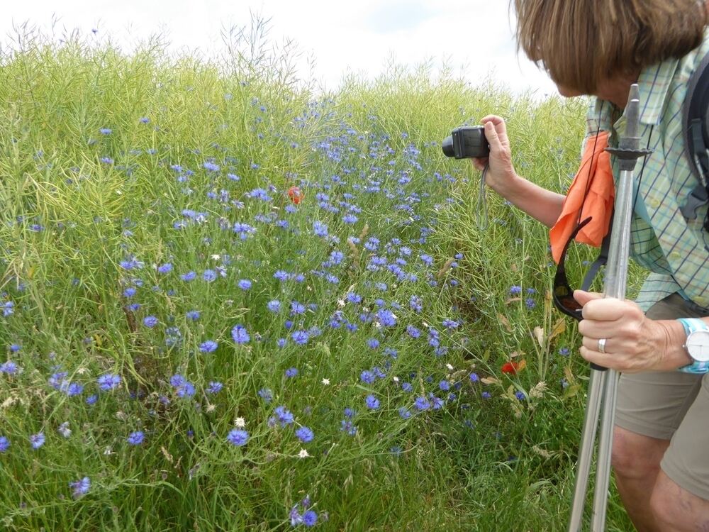 GEA Wanderreise Moseltal und Luxemburg