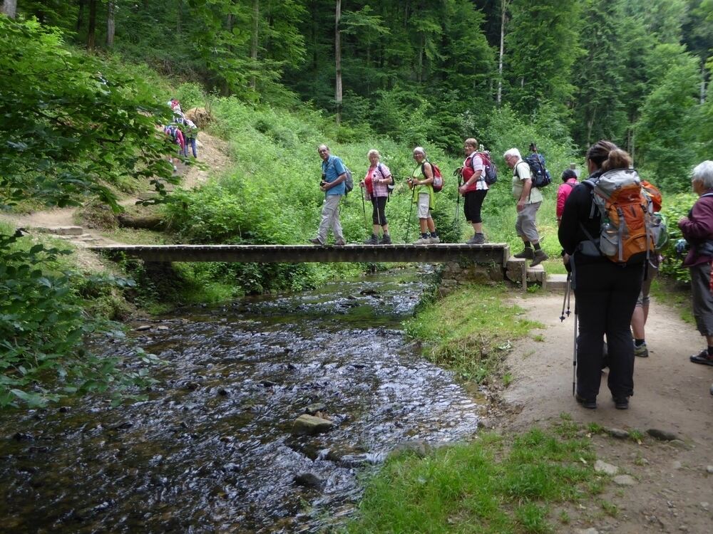 GEA Wanderreise Moseltal und Luxemburg