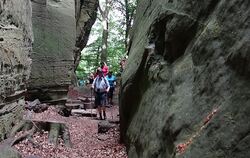 Impressionen vom Müllerthal-Trail: Spektakuläre Felsschluchten.