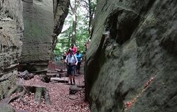 Impressionen vom Müllerthal-Trail: Spektakuläre Felsschluchten.