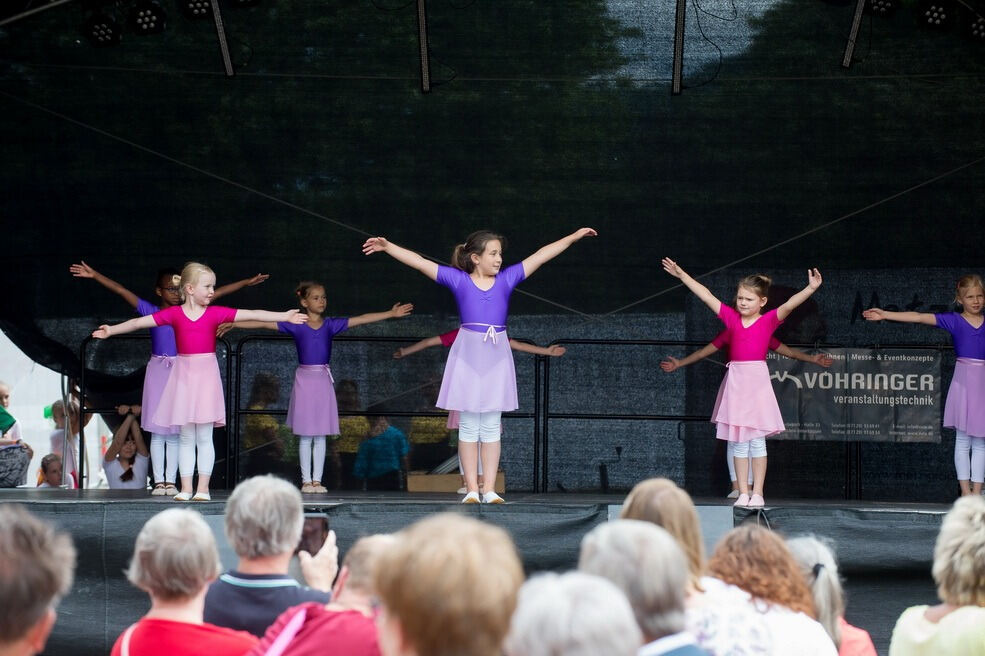 Pfullingen zeigt sich 2017