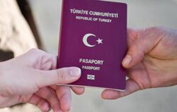 Um Druck auf die türkische Regierung auszuüben, könnte Deutschland die Visafreiheit für viele Türken einschränken oder die EU