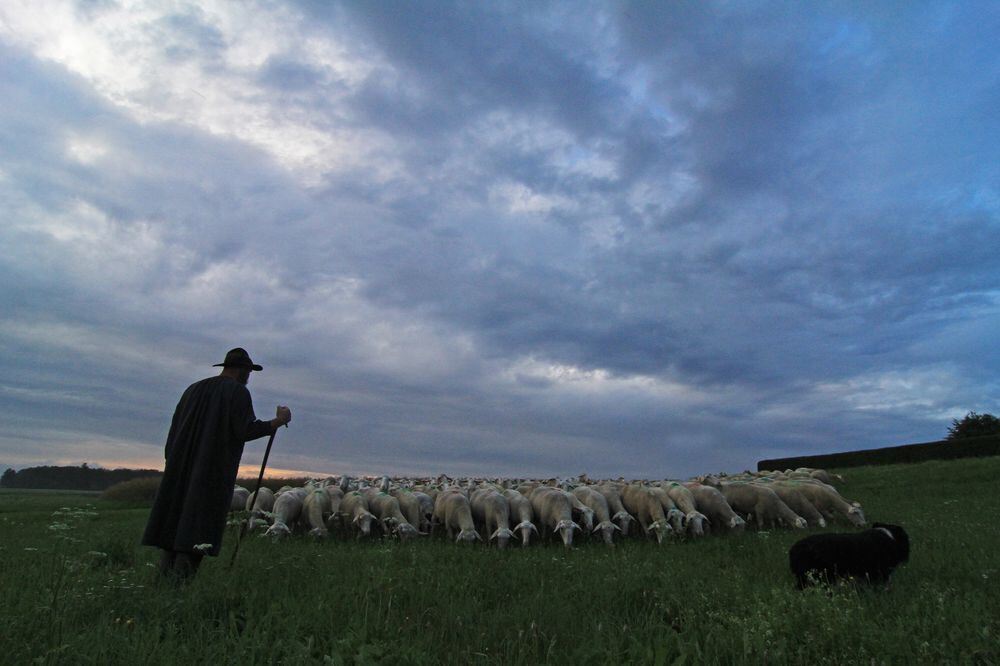 Schäferlauf in Bad Urach 2017