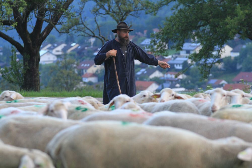 Schäferlauf in Bad Urach 2017