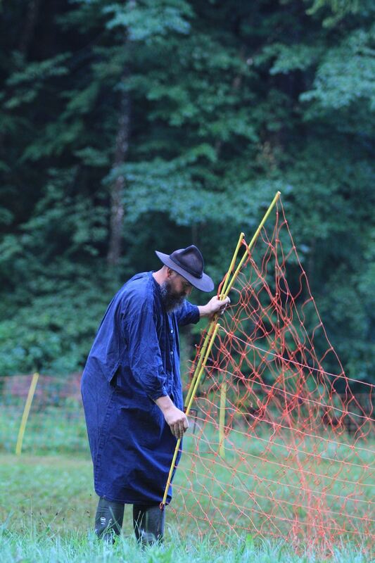 Schäferlauf in Bad Urach 2017