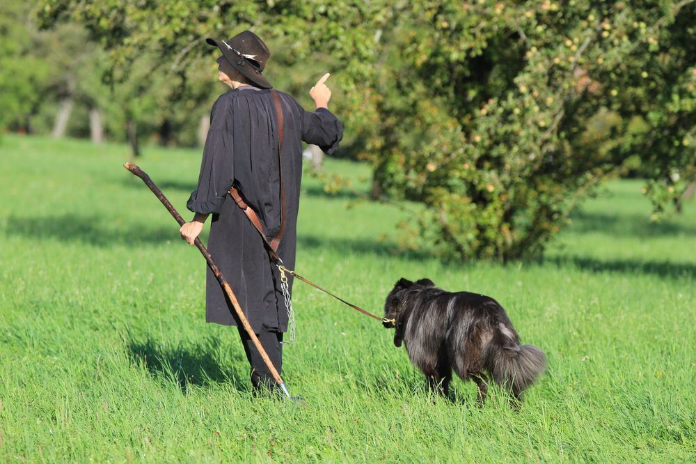 Schäferlauf in Bad Urach 2017