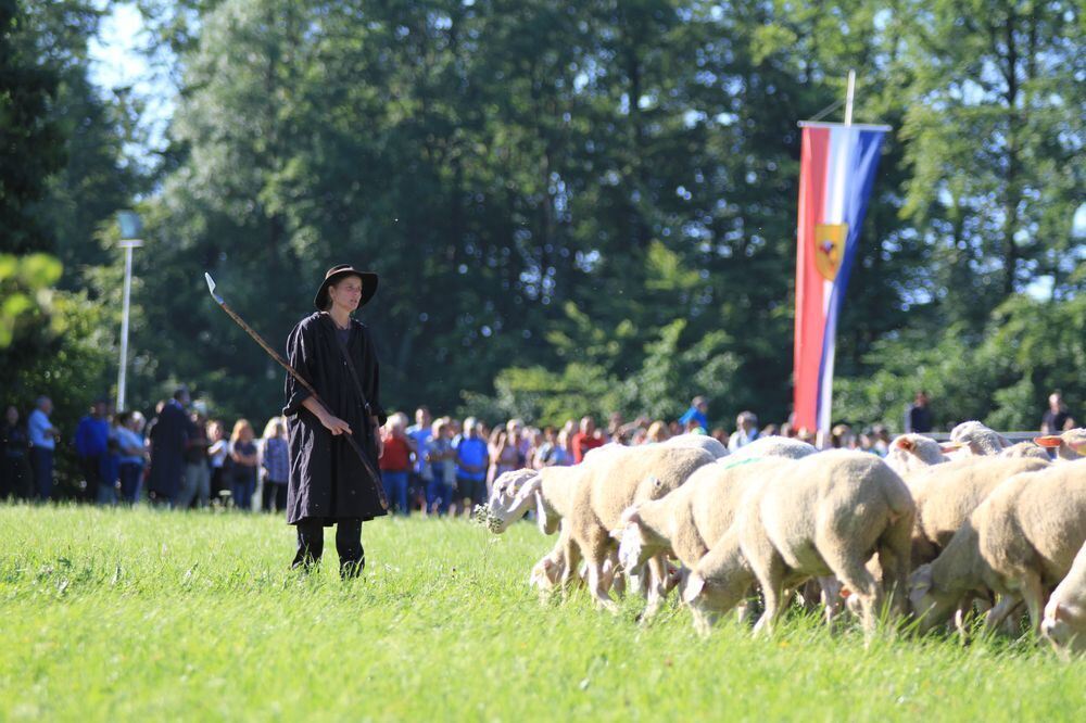 Schäferlauf in Bad Urach 2017