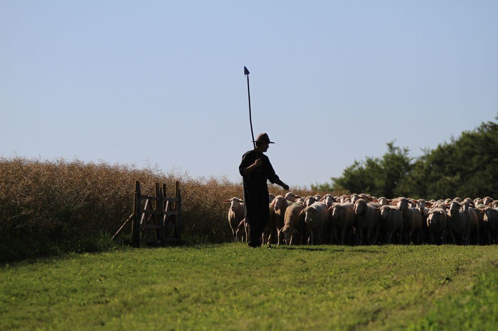 Schäferlauf in Bad Urach 2017