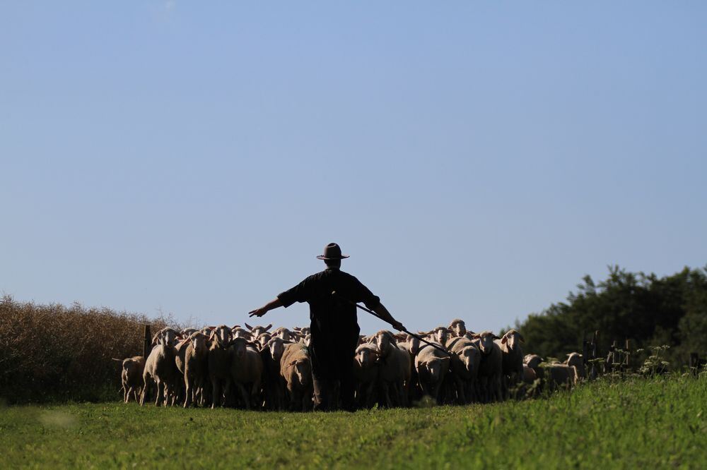 Schäferlauf in Bad Urach 2017