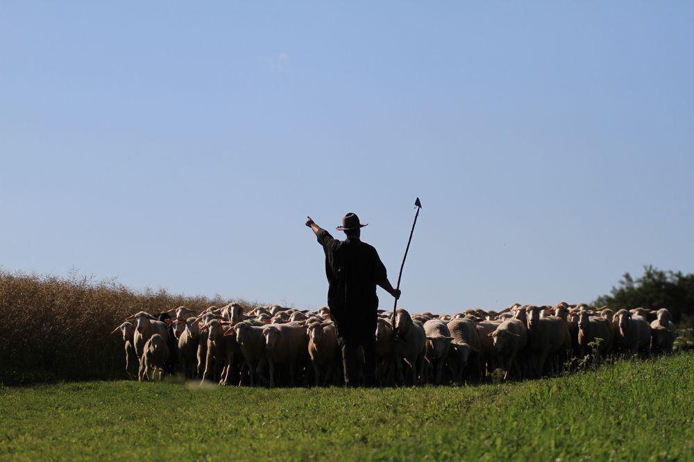 Schäferlauf in Bad Urach 2017
