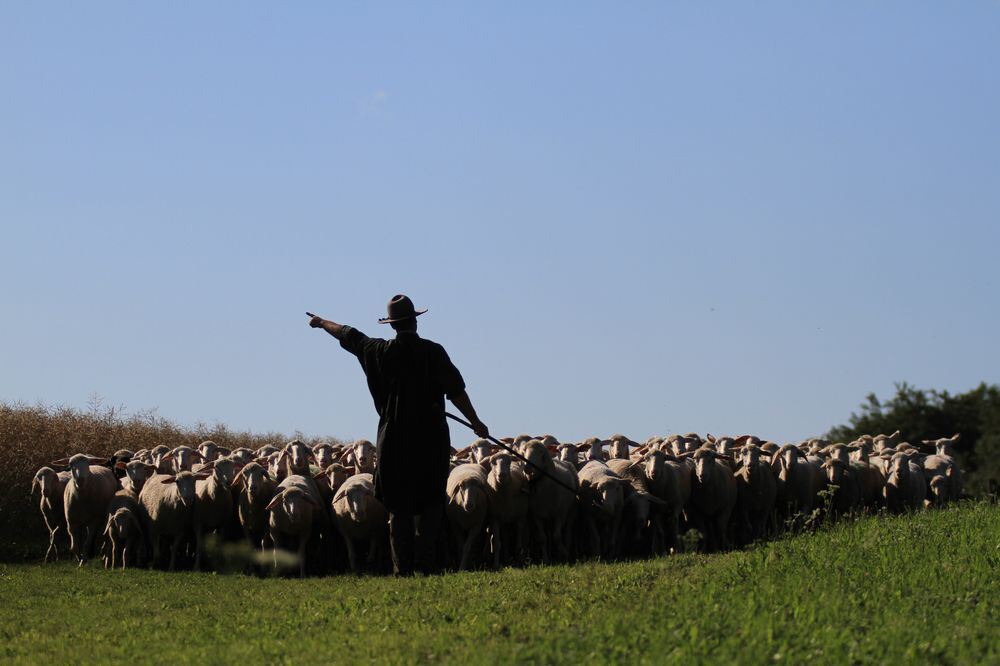 Schäferlauf in Bad Urach 2017