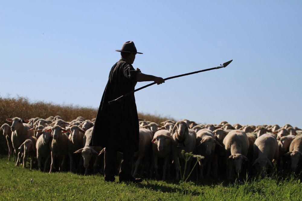 Schäferlauf in Bad Urach 2017