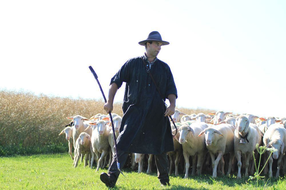 Schäferlauf in Bad Urach 2017