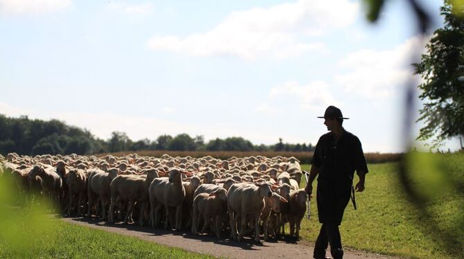 Schäferlauf in Bad Urach 2017