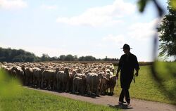 Schäferlauf in Bad Urach 2017