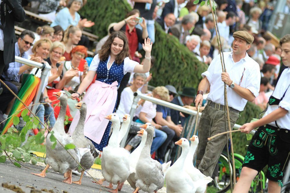 Schäferlauf in Bad Urach 2017