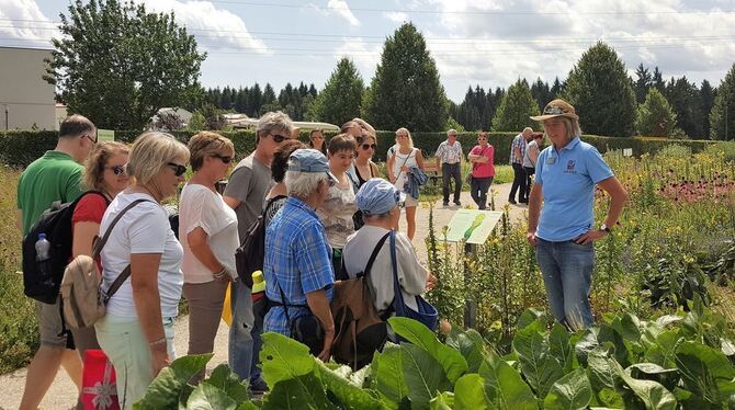 Christel Ehlers, die den Gartenbetrieb bei Alb-Gold leitet, erklärt Besuchern bei einer Führung ihre »Kräuter Welt«. FOTO: KUSTE