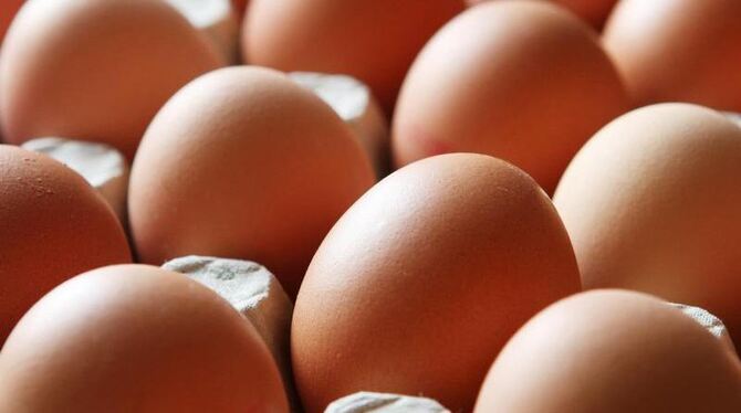 Die niederländischen Behörden hatten Millionen mit dem Insektizid verseuchte Eier aus Supermärkten zurückrufen lassen. Foto: