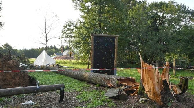 Verwüstung nach dem Unwetter: Ein umgestürzter Baum liegt auf dem Gelände eines Zeltlagers bei Rickenbach.