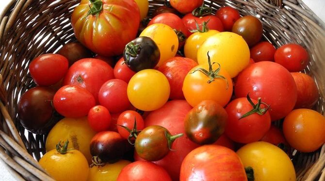 Tomatenvielfalt anstatt Einheits-Wasserbälle.