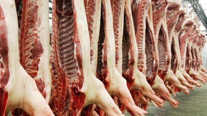 Schweinehälften in einem Schlachthof.