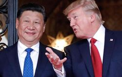 US-Präsident Donald Trump (r) empfängt den chinesischen Präsidenten Xi Jinping in Palm Springs im US-Bundesstaat Florida. Fot