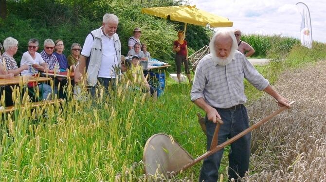 Getreide ernten war früher ein »böses Geschäft«, weiß Heinz-Jürgen von Boetticher. FOTO: BÖHM