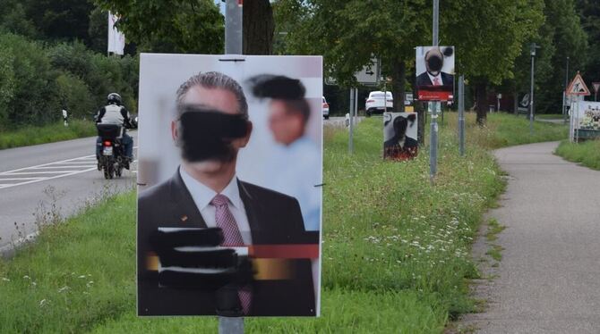 Überschmierte Wahlplakate in der Bachenbergstraße in Pliezhausen. FOTO: RITTGEROTH