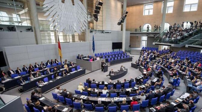 Das Plenum des Bundestags während einer Debatte im vergangenen Sommer. Foto: Michael Kappeler