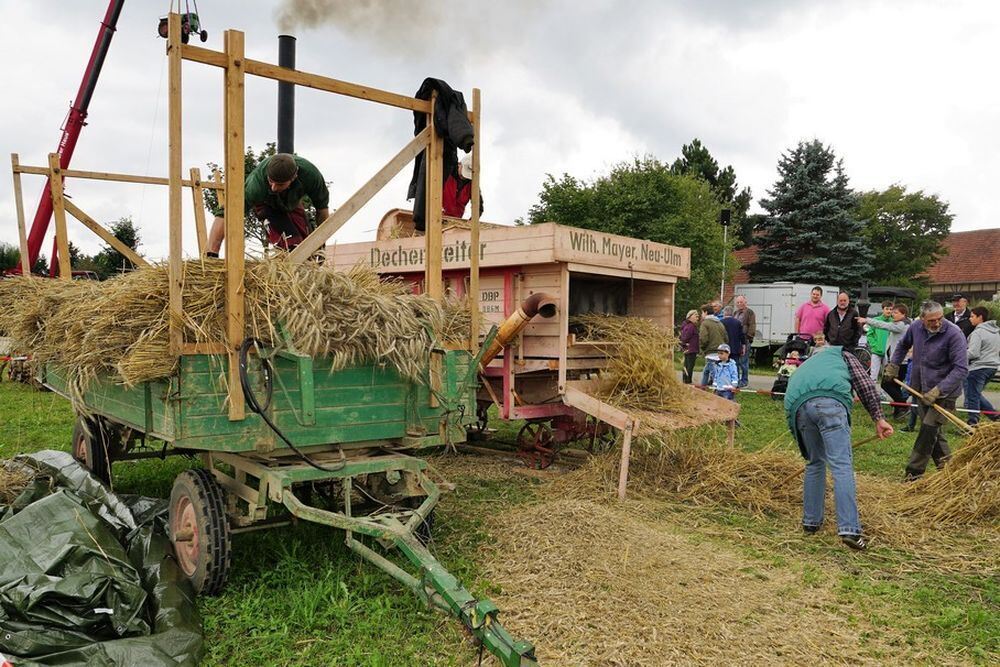 Bulldog- und Oldtimertreffen Wilsingen 2017_05