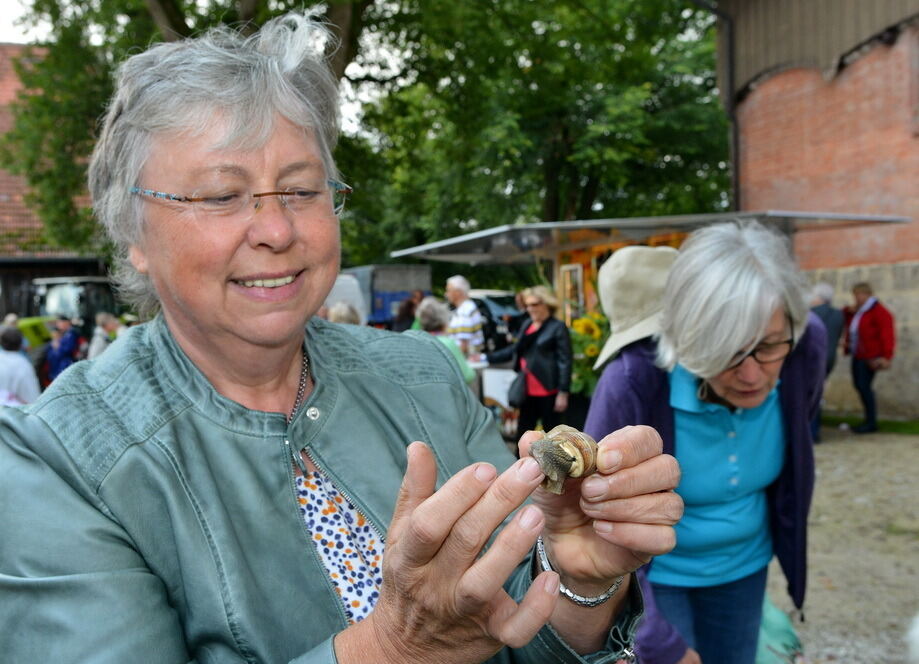Kartoffelfest in St. Johann 2017