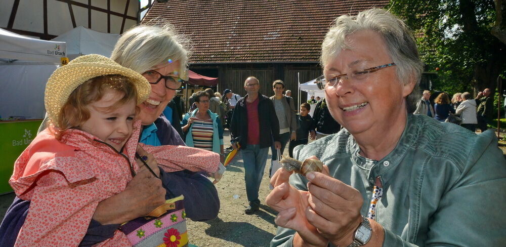 Kartoffelfest in St. Johann 2017