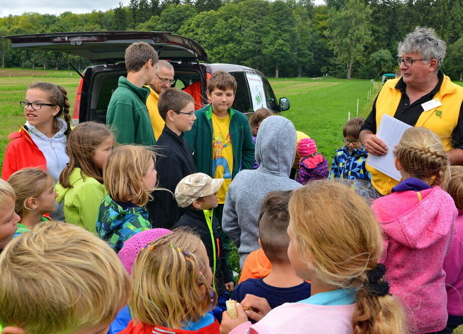 Kartoffelfest in St. Johann 2017
